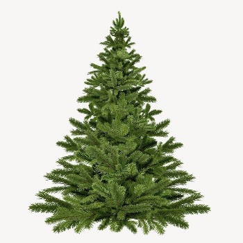 Christmas tree collage element, festive | Free PSD - rawpixel