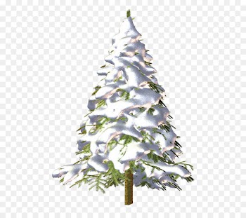 Christmas tree Conifers Spruce Fir - christmas tree 