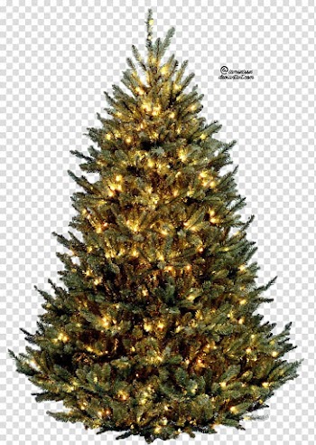Christmas tree Display resolution Desktop , christmas tree transparent background PNG clipart