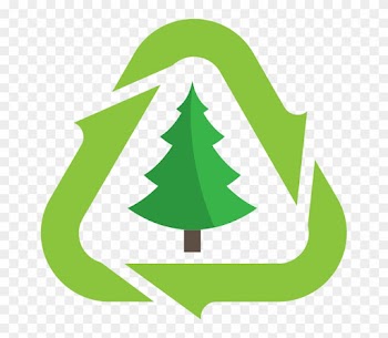 Christmas Tree Disposal - Christmas Tree Recycling