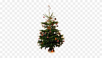 Christmas Tree Donation - Christmas Tree