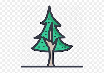 Christmas Tree, Evergreen Tree, Fir Tree, Pine Tree, - Tree
