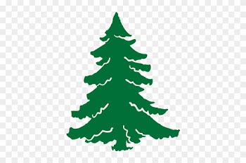 Christmas Tree Farm - Tree Farm