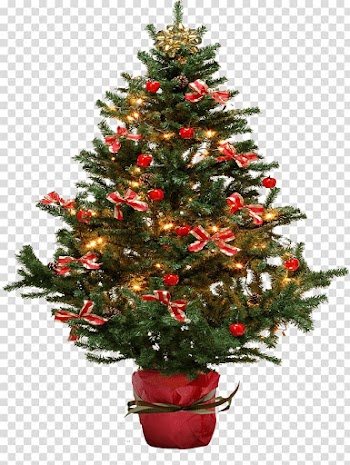 Christmas tree Fir, Christmas Fir-Tree transparent background PNG clipart