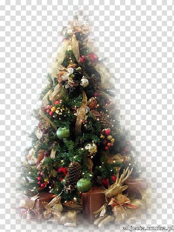 Christmas tree Fir Christmas ornament Santa Claus, christmas tree transparent background PNG clipart