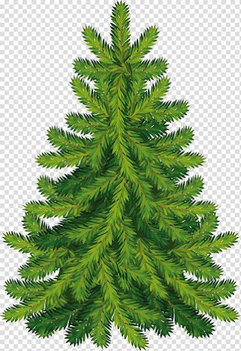 Christmas tree Fir, Fir-Tree transparent background PNG clipart