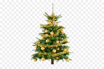 Christmas tree Gift Fir - christmas tree 
