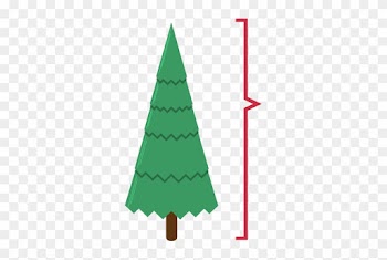 Christmas Tree Growers Sell The Shorn Whorls To Make - Christmas Tree
