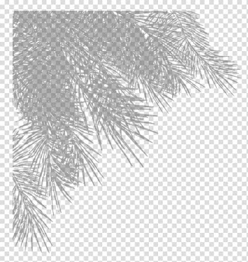 Christmas tree Leaf Branch, Christmas tree branches transparent background PNG clipart