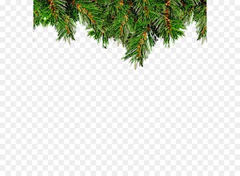 Christmas tree Leaf Christmas ornament - Christmas tree 