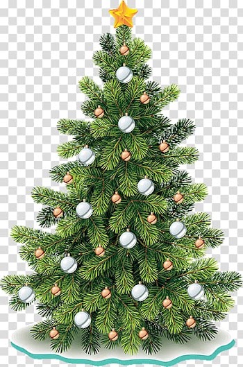 Christmas tree Noble fir , christmas tree transparent background PNG clipart