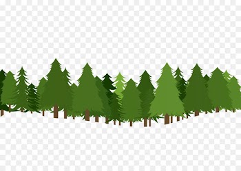 Christmas tree Pine Clip art - forest clipart 