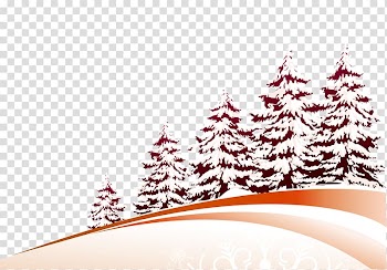 Christmas tree Pine, Snow Christmas Tree transparent background PNG clipart