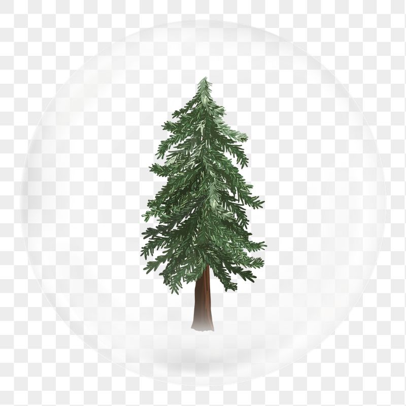 Christmas tree png bubble sticker, | Free PNG - rawpixel