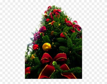 Christmas Tree Png - Christmas Tree Png Transparent