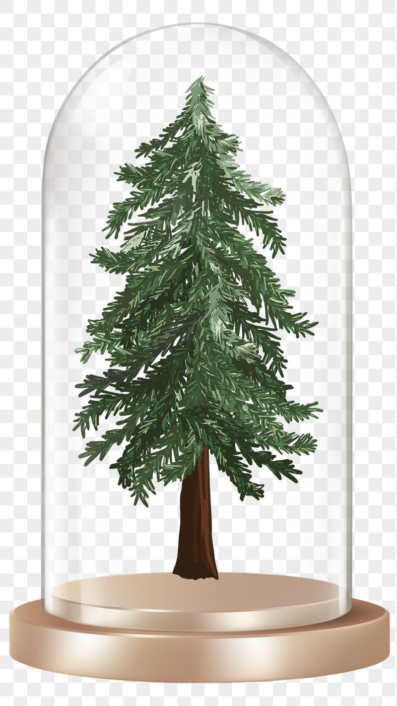 Christmas tree png glass dome | Free PNG - rawpixel