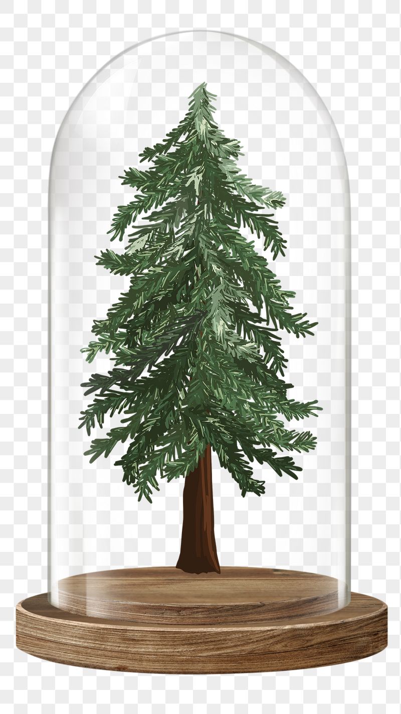 Christmas tree png glass dome | Free PNG - rawpixel