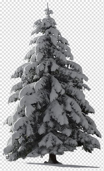 Christmas tree Snow, fir-tree transparent background PNG clipart