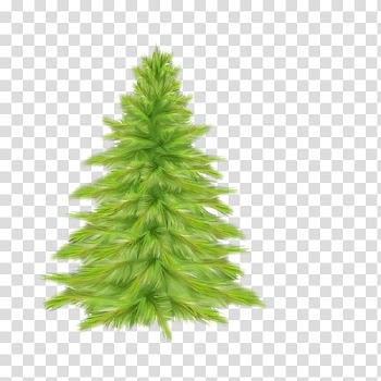 Christmas tree Spruce Fir, tree transparent background PNG clipart