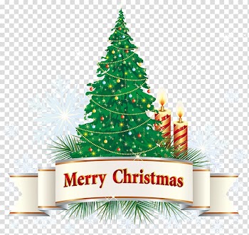 Christmas tree transparent background PNG clipart