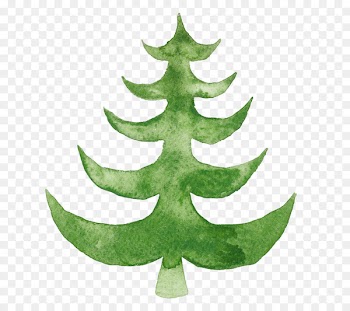 Christmas tree Watercolor painting Illustration Christmas Day - christmas tree 