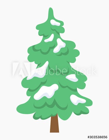 Christmas tree with snow on the branch