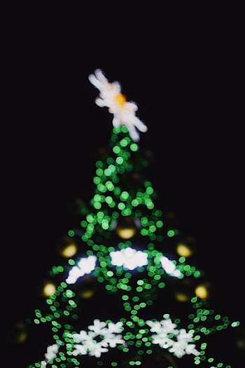 Christmas tree with string light