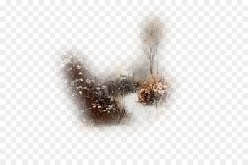 Christmas Twig png download - 600*600 - Free Transparent Winter ...