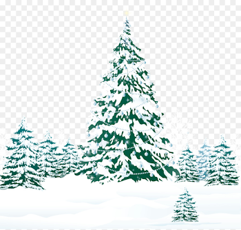 Christmas Winter Background clipart - Tree, Winter, Christmas ...