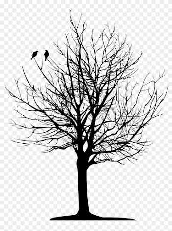Christopher Allan Poe - Tree With Roots Ankle Tattoos