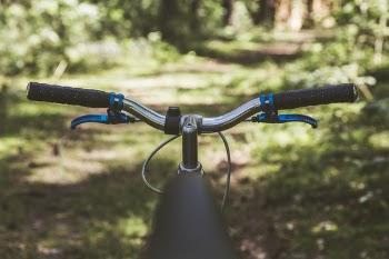 Chrome and Black Bike With the View of Pathway Beside Green Plants