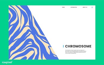 Chromosome educational science website design | Free stock vector - 458383