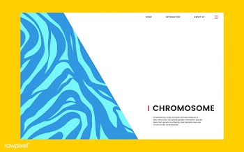 Chromosome educational science website design | Free stock vector - 458389
