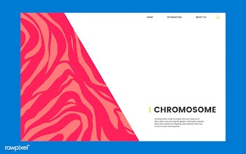 Chromosome educational science website design | Free stock vector - 458390