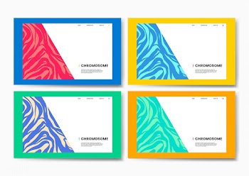 Chromosome educational science website design | Free stock vector - 458437
