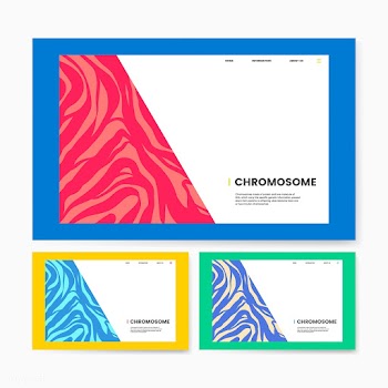 Chromosome educational science website design | Free stock vector - 458438