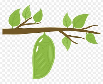 Chrysalis Svg Cutting File Chrysalis Svg Cut File For - Cocoon Clipart