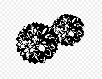 Chrysanthemum, Floral Design, Flower, Petal PNG