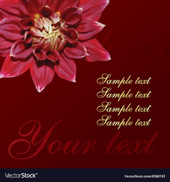 Chrysanthemum Floral Design vector image