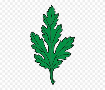 Chrysanthemum Green, Leaf, Cartoon, Plant, Leaves, - Green Leaf Clip Art