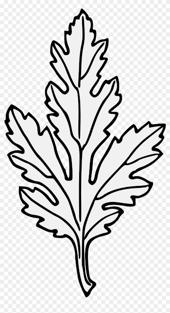 Chrysanthemum Leaf - Line Art