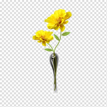 Chrysanthemum Petal Cut flowers, Chrysanthemum flowers transparent background PNG clipart