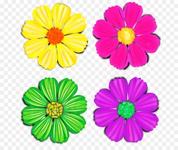 Chrysanthemum, Transvaal Daisy, Cut Flowers, Petal, Flower PNG