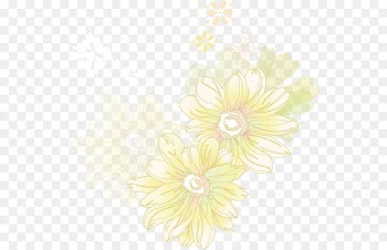 Chrysanthemum Transvaal daisy Euclidean vector - chrysanthemum 