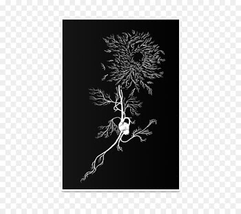 Chrysanthemum Wisgoon TeePublic T-shirt Visual arts - white chrysanthemum 