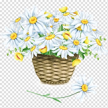 Chrysanthemum xd7grandiflorum Watercolor painting Euclidean , Watercolor chrysanthemum transparent background PNG clipart