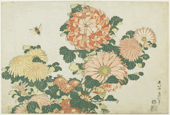 Chrysanthemums and HorseflyOriginal from the Minneapolis | Free Photo - rawpixel