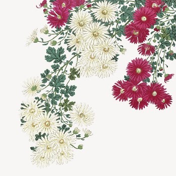Chrysanthemums collage element, Ohara Koson's | Free PSD Illustration - rawpixel