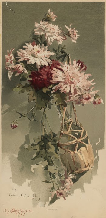 Chrysanthemums no. 4 | Free Photo - rawpixel