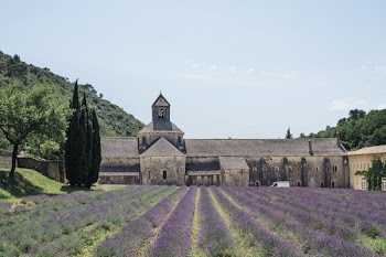 Church Beyond Lavender Field